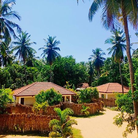 Sunset Safari & Resort Kalpitiya Bagian luar foto