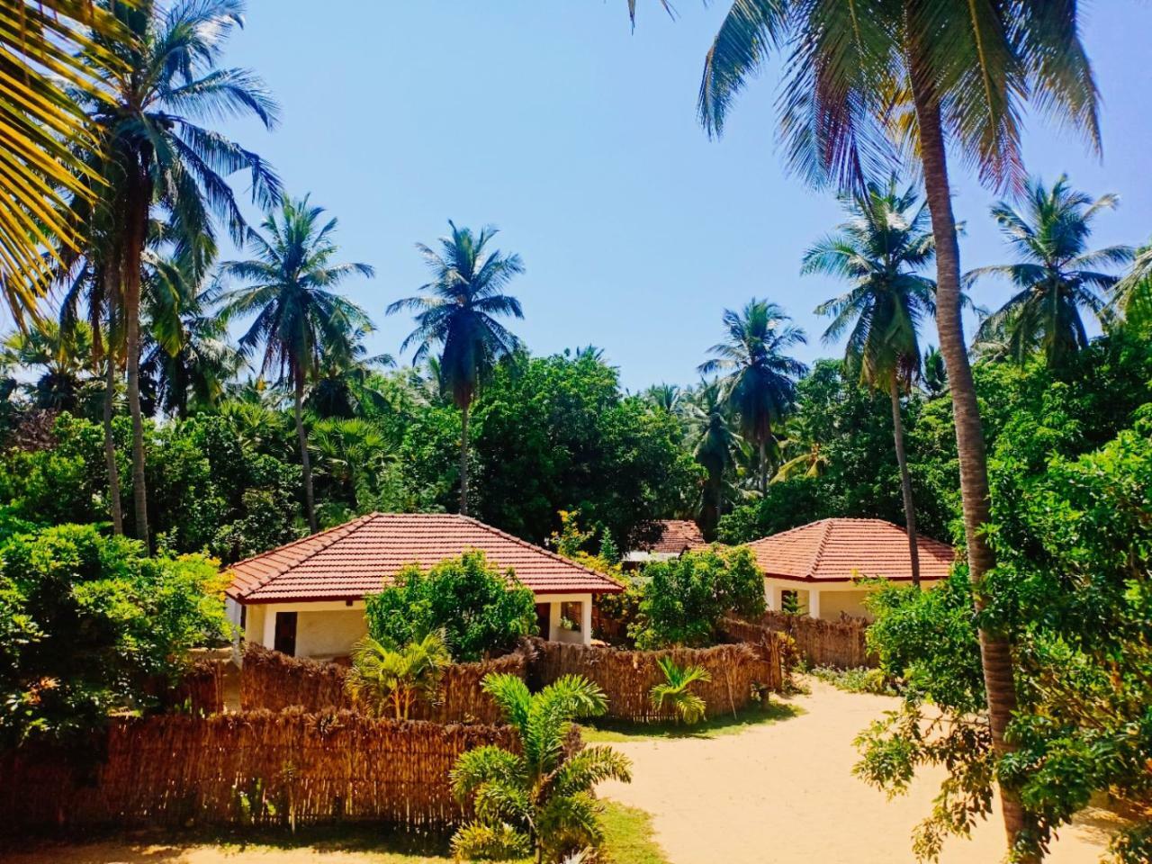 Sunset Safari & Resort Kalpitiya Bagian luar foto
